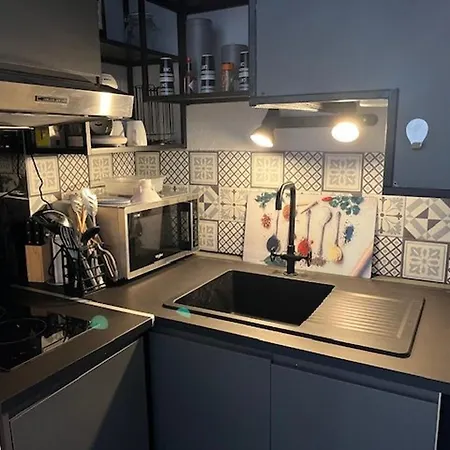 Superbe T2 Cabine Pour 5 Pers Au Centre Port D'agde Avec Parking Securise Et Terrasses - Fr-1-749-64 Apartment